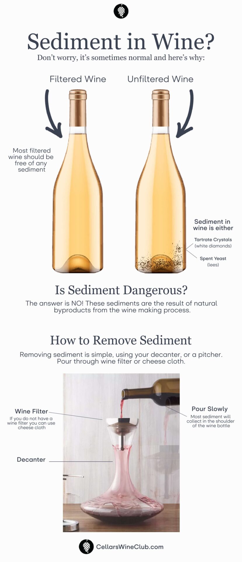 Sediment in wine infographic